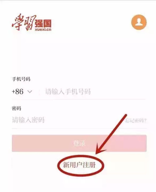 6.webp.jpg