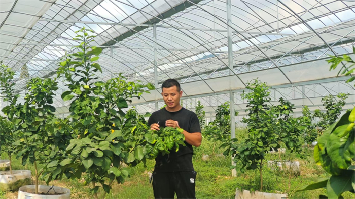 /uploads/image/2026/02/02/b23a08084bb51a6e16dcb275c4f29d43.png 1.png